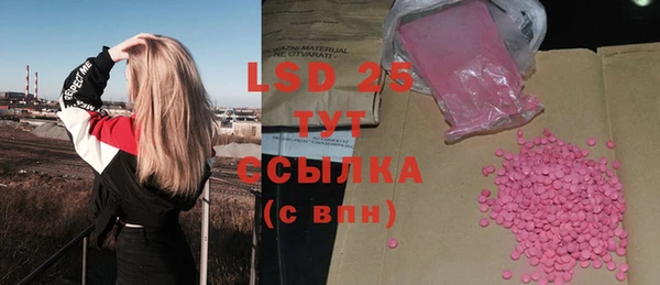 мдпв Ельня