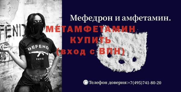 мдпв Ельня
