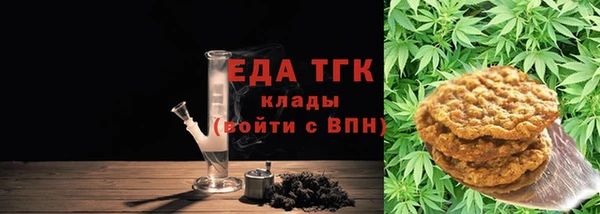 мдпв Ельня