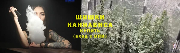 бошки Елабуга