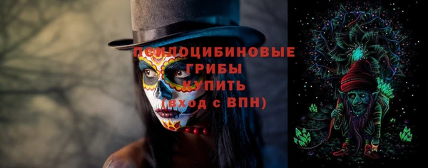 мдпв Ельня