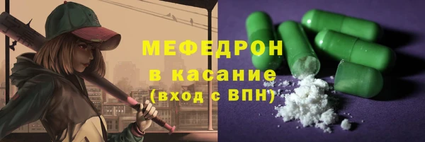 мдпв Ельня