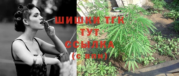 мдпв Ельня