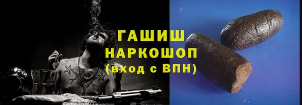 мдпв Ельня