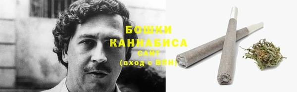 мдпв Ельня