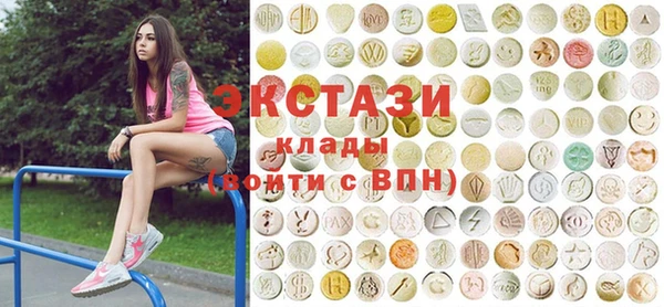 мдпв Ельня