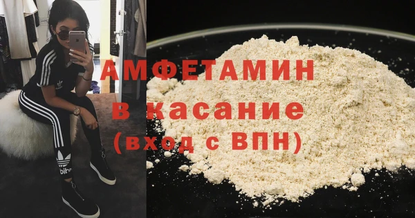 мдпв Ельня