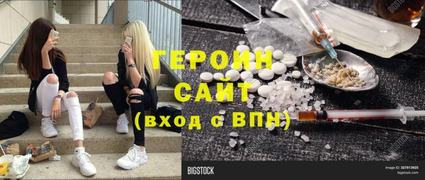 мдпв Ельня