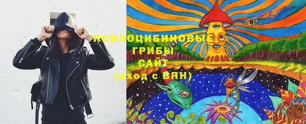 бошки Елабуга