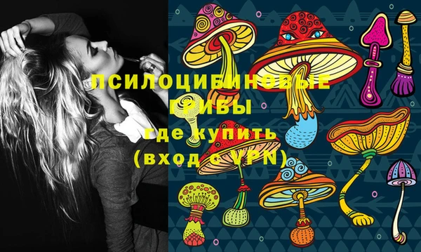 бошки Елабуга