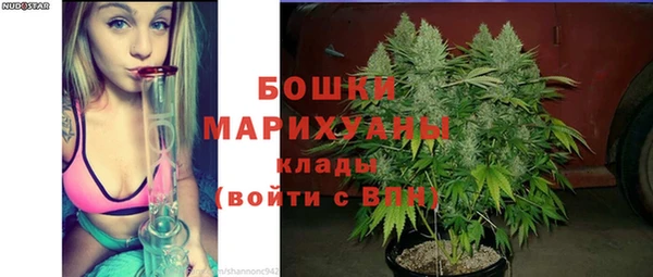 мдпв Ельня