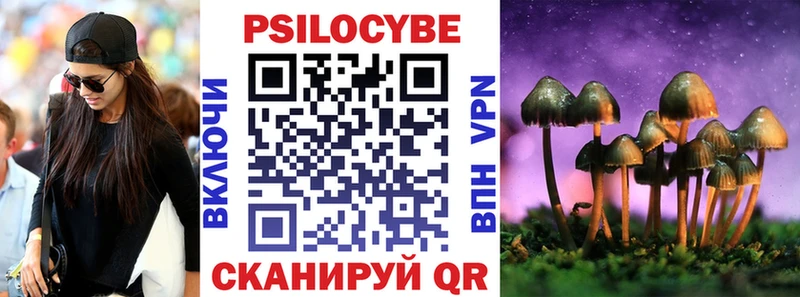 как найти   Шумиха  hydra tor  Галлюциногенные грибы Psilocybe 